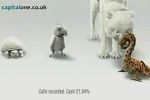 Capital One - Identity Theft - Chameleon